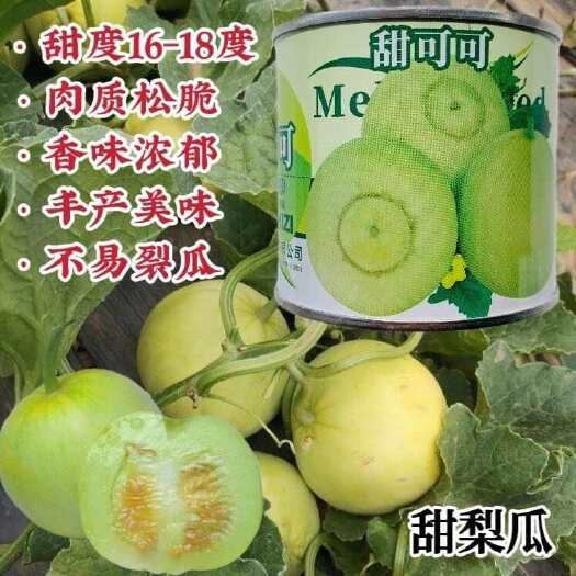 淮安甜可可甜瓜种子甜度高原甜QQ甜瓜种子香味浓郁瓜香甜不易裂