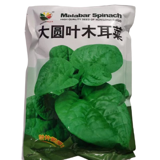 长沙县【木耳菜】农之子大圆叶木耳菜种子 叶片肥厚耐抽苔四季种植