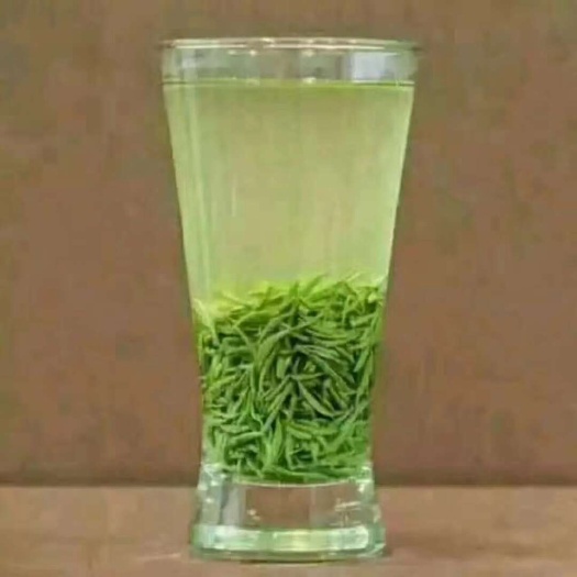 信阳毛尖茶