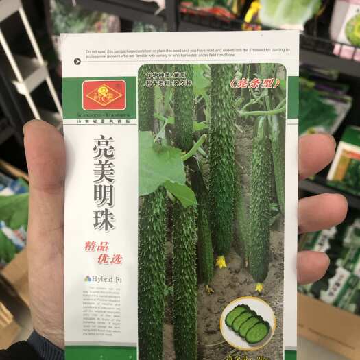 长沙亮美明珠油亮型耐热黄瓜种子春棚秋延露地高温35度正常结瓜膨瓜