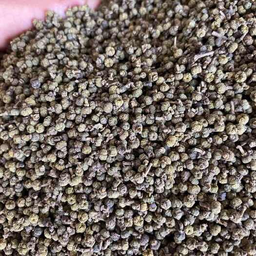 樟树市吴茱萸