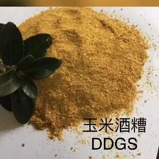 石家庄玉米
酒糟