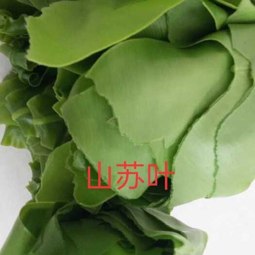 龙岩山野菜