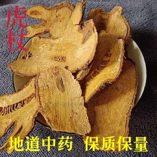 樟树市虎杖