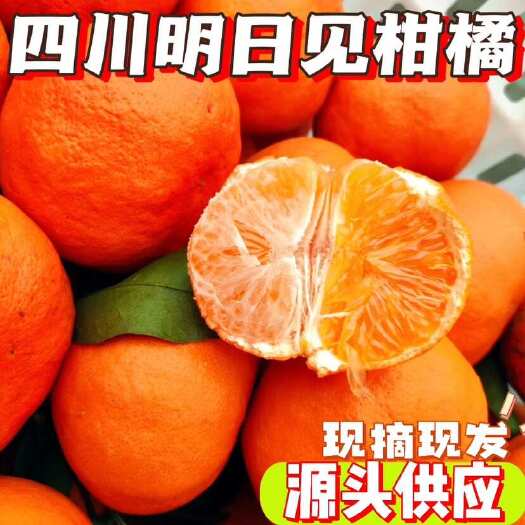 四川明日见柑橘现摘现发