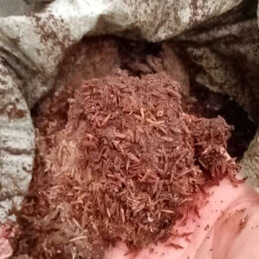 于都县稻壳鸡粪