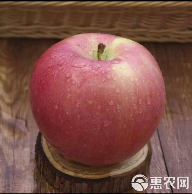 陕西礼泉红富士苹果膜袋果5斤10斤装电商一件代发包邮75mm