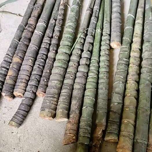 彭泽县实心竹、罗汉竹毛料
