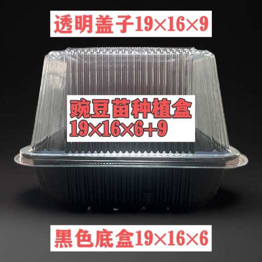 临沂豌豆苗种植盒黑色底盒透明盖子19×16×6+9一次性种植盒