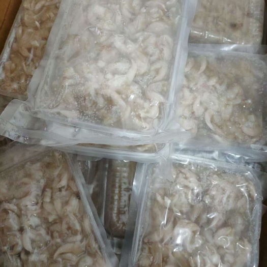 熟冻不缩水鸟贝  金钩刺身鸟贝肉