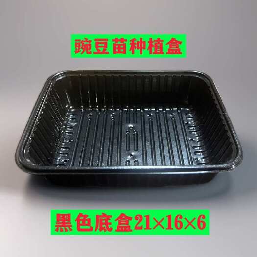 临沂豌豆苗种植底盒21×16×6活体芽苗菜育苗盒 黑色底盒