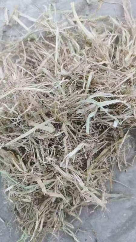 固镇县一级揉丛稻草，无土无霉变，需要的联系