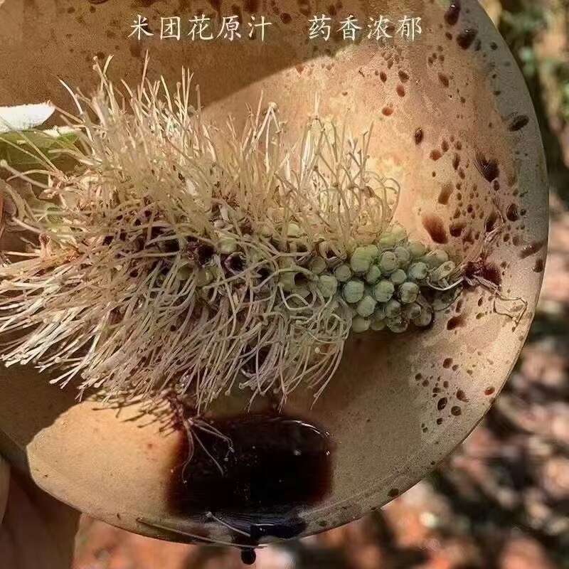 野蜂蜜  云南米团花黑蜂蜜