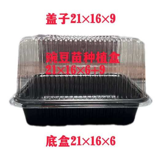 临沂豌豆苗种植盒带漏水孔带盖子21×16×6+9芽菜盒种植盒