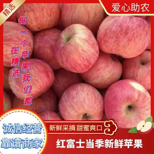 苹果，山区红富士苹果，产地直供
