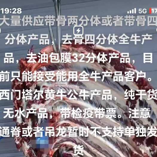 清徐县雪花牛肉  热鲜冷链供应地运空运随时发量大来我们这边是屠宰场