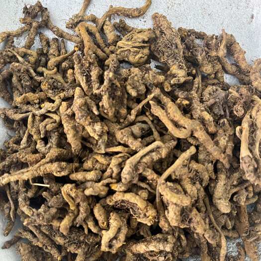 鄄城县黄连-单只连
