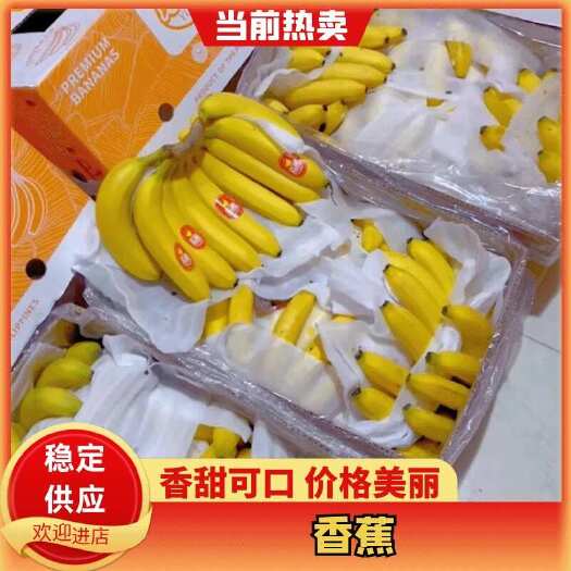 上海常年经营：新鲜拆柜菲律宾精品蕉、规模4-5-6-把，保质保量