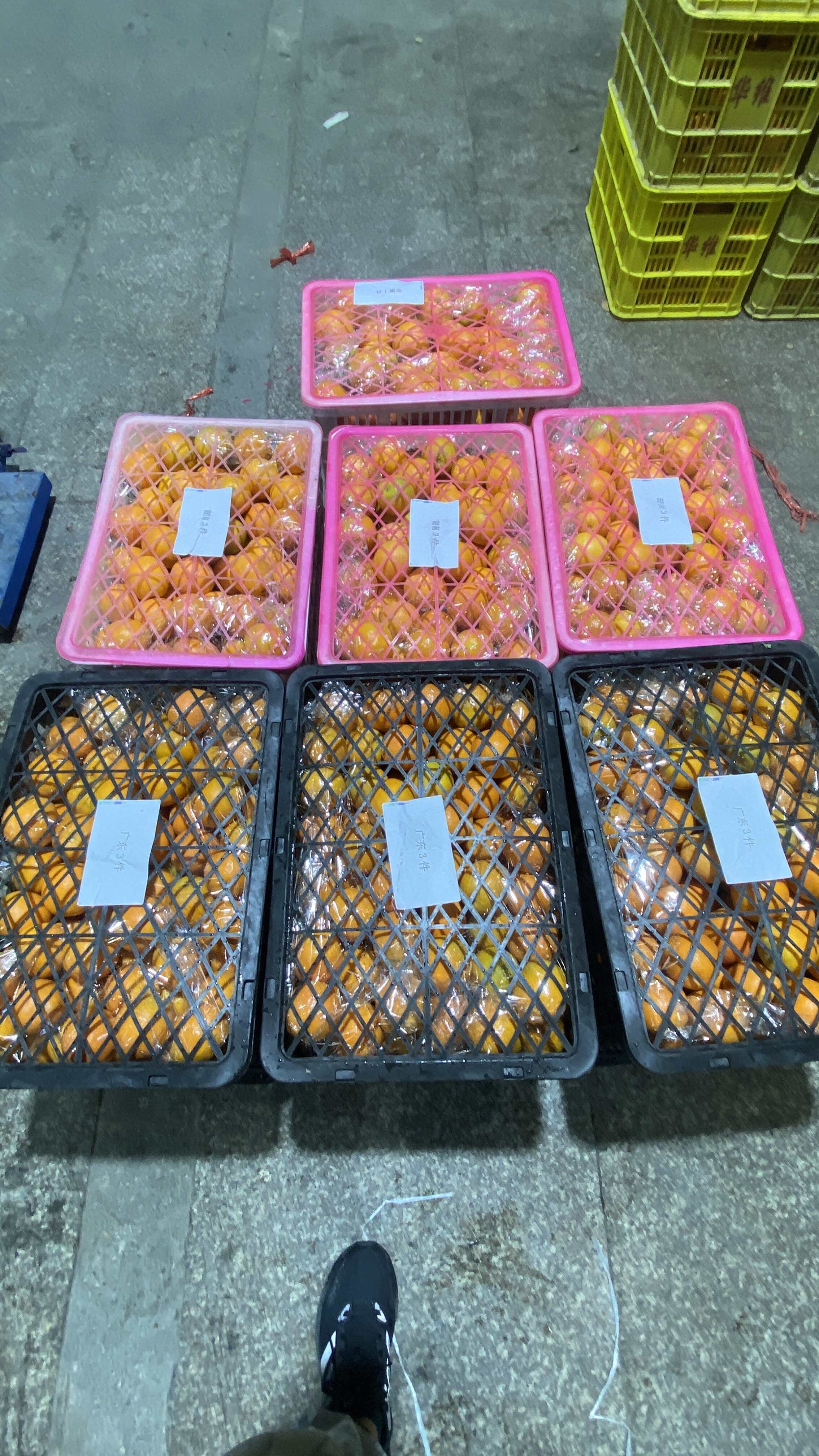 【鲜榨商用果】常年供应鲜榨橙汁儿果，新鲜看的见，橙香浓汁水多