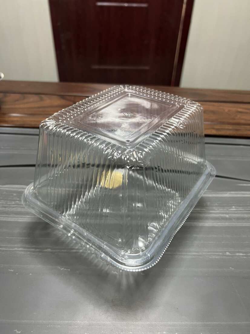 豌豆苗种植盒19×16×6+9芽苗菜种植盒活体芽苗菜种植盒