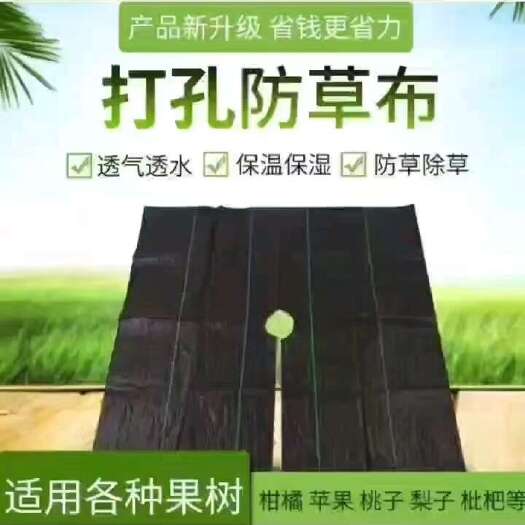 德州防草布 pp，pe卷材打孔，按客户要求定制打孔，源头厂家，欢