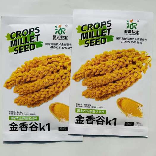 沭阳县金香谷K1谷子种子春夏季大田专用黄谷黄米粘香小米种子