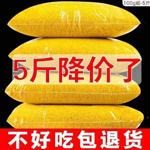 黄小米新米东北农家小米粥香糯粘稠月子油小米五谷杂粮