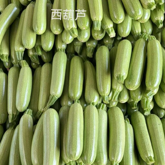 蒙自市产地直销，一手货源！