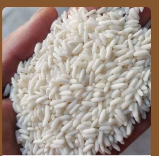 中牟县糯米