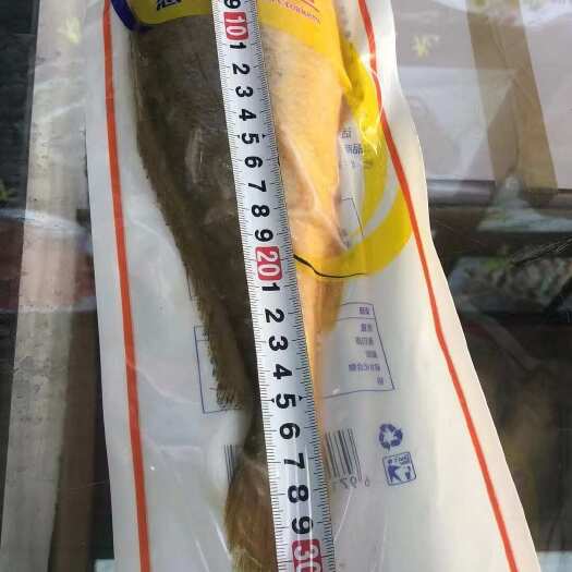 成都活冻大黄鱼