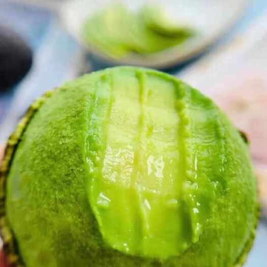 孟连县新鲜热带牛油果来自云南普洱孟连现摘现发