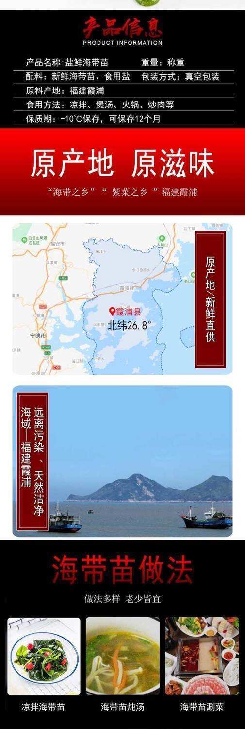 【工厂直销】霞浦海带嫩苗凉拌火锅速食盐渍海带苗支持代发