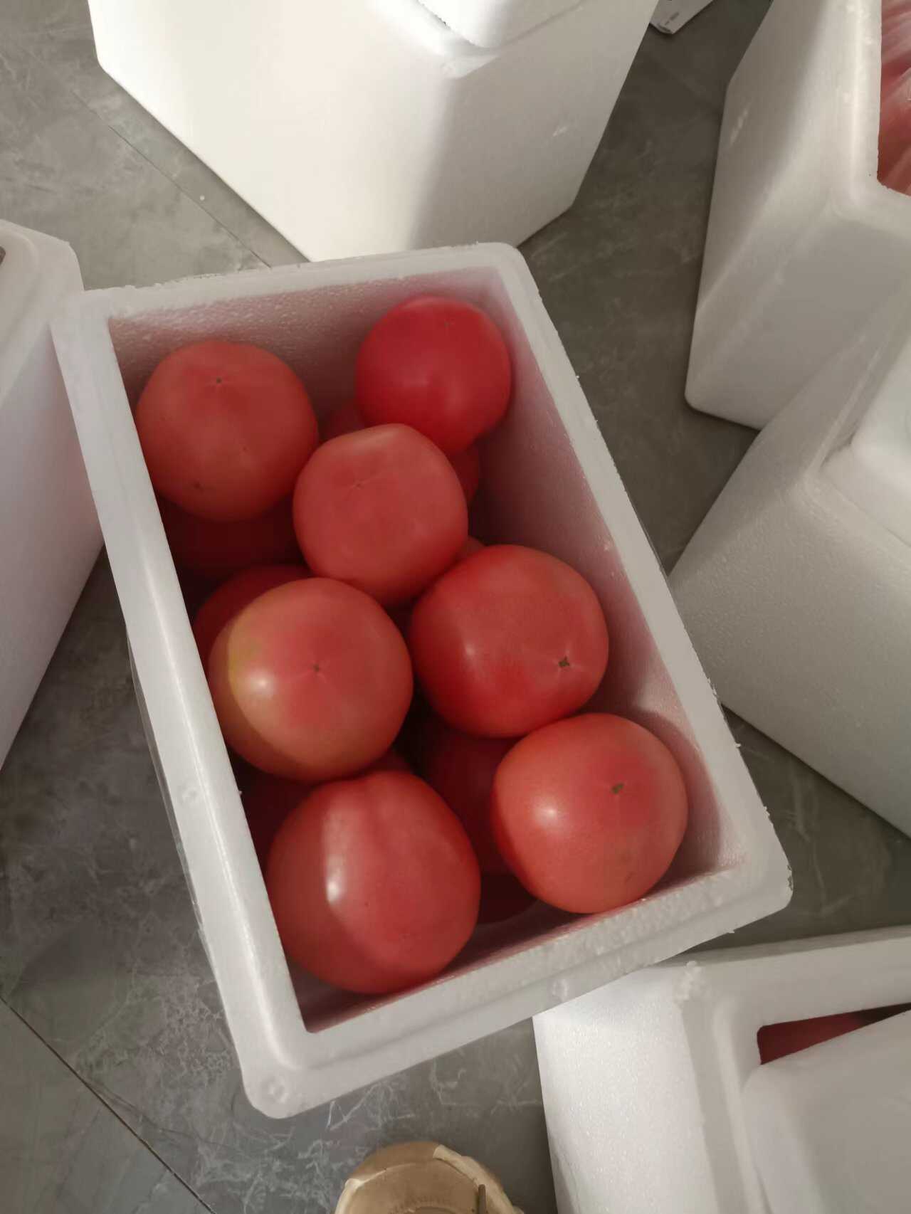 精品硬粉西红柿，普罗旺斯西红柿