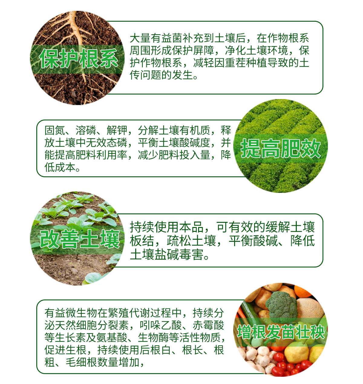 綠隴活菌360促生長護根保苗預防土傳抗重茬復合微生物菌劑菌肥