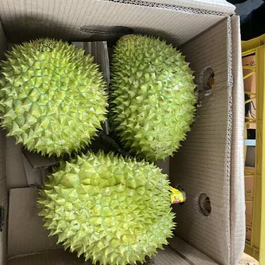 广州干尧榴莲A果