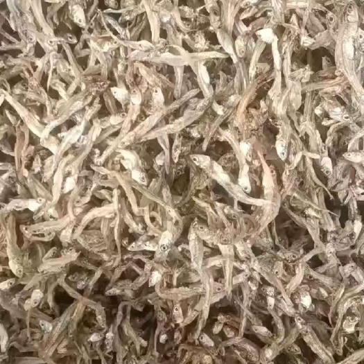  公鱼干