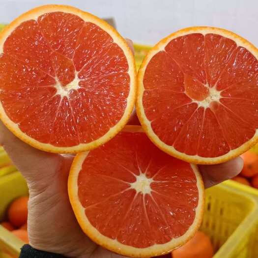 【中华红橙】支持视频看货 果农直供 一手货源发全国客商