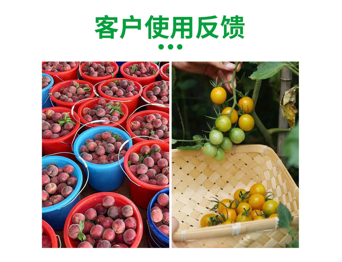 绿陇氨基酸原粉瓜果蔬菜农用复合氨基酸叶面肥冲施肥提苗壮棵膨果