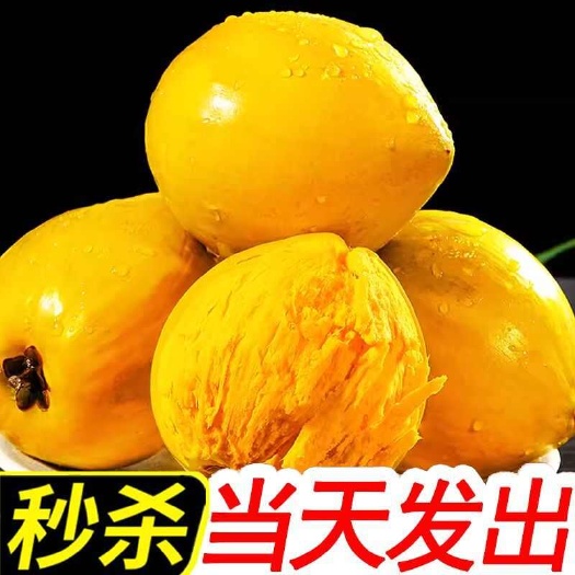 贺州海南鸡蛋果蛋黄果5斤当季热带水果新鲜应季整箱批发特产熟果1-