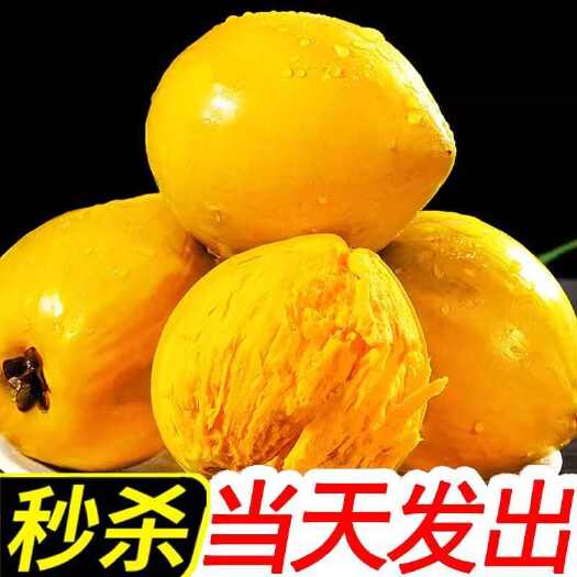海南鸡蛋果蛋黄果5斤当季热带水果新鲜应季整箱批发特产熟果1-