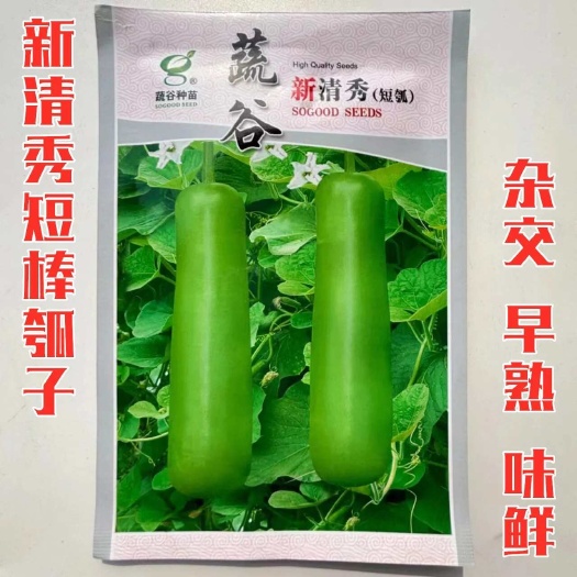 沭阳县新清秀短瓠种子短棒葫芦甜瓠子瓜菜清香农家阳台四季播蔬菜种籽