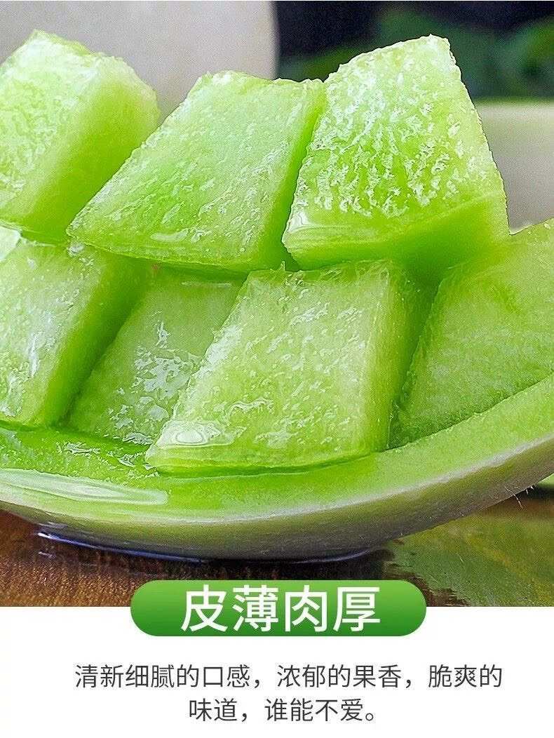 海南玉菇甜瓜当季新鲜水果香瓜脆甜冰淇淋蜜瓜批发