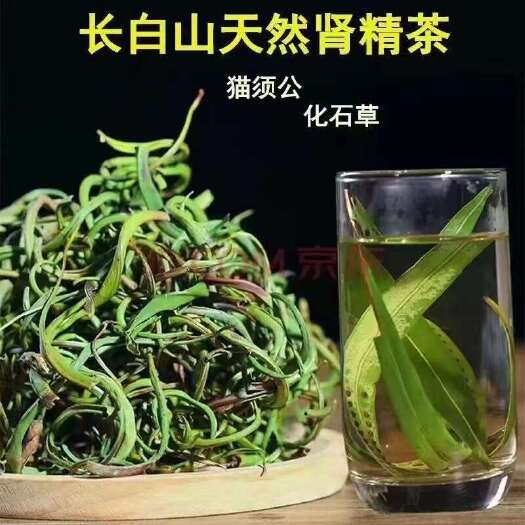 通化县肾精草