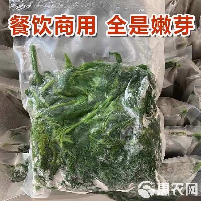 桑叶菜120包新鲜桑芽菜上汤桑芽嫩尖酒店饭店餐饮半成品特色菜