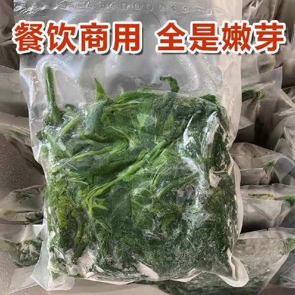 桑叶菜120包新鲜桑芽菜上汤桑芽嫩尖酒店饭店餐饮半成品特色菜