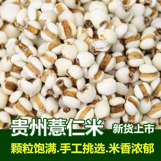 昆明薏仁米新货5斤农家苡仁新鲜杂粮大薏仁