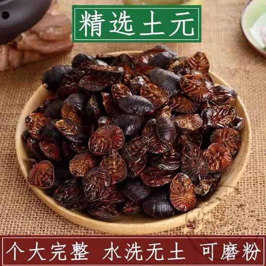 亳州土元中药材土元土鳖虫优质土元无硫无碎渣一斤包邮