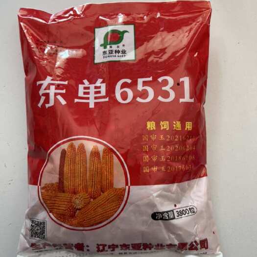 辽宁东亚种业东单6531玉米种子粮饲通用高籽红轴马齿形抗病
