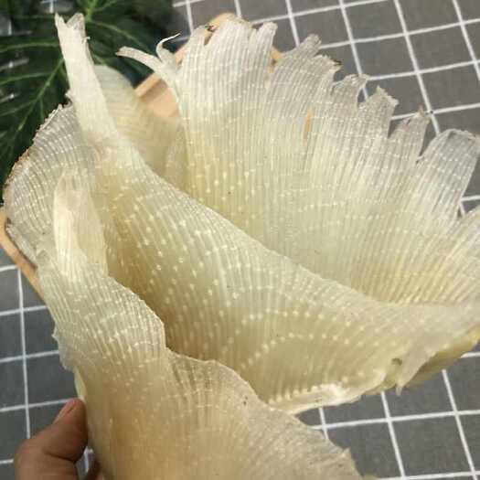 浦鱼翅海狗翅天狗翅鱼鳍软骨翅煲汤料烧烤火锅做佛跳墙海鲜干货