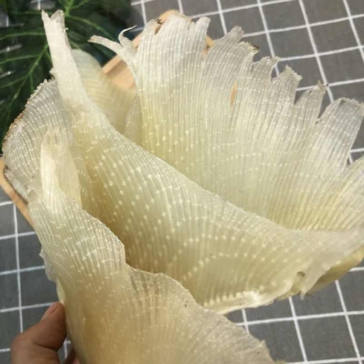 北海浦鱼翅海狗翅天狗翅鱼鳍软骨翅煲汤料烧烤火锅做佛跳墙海鲜干货